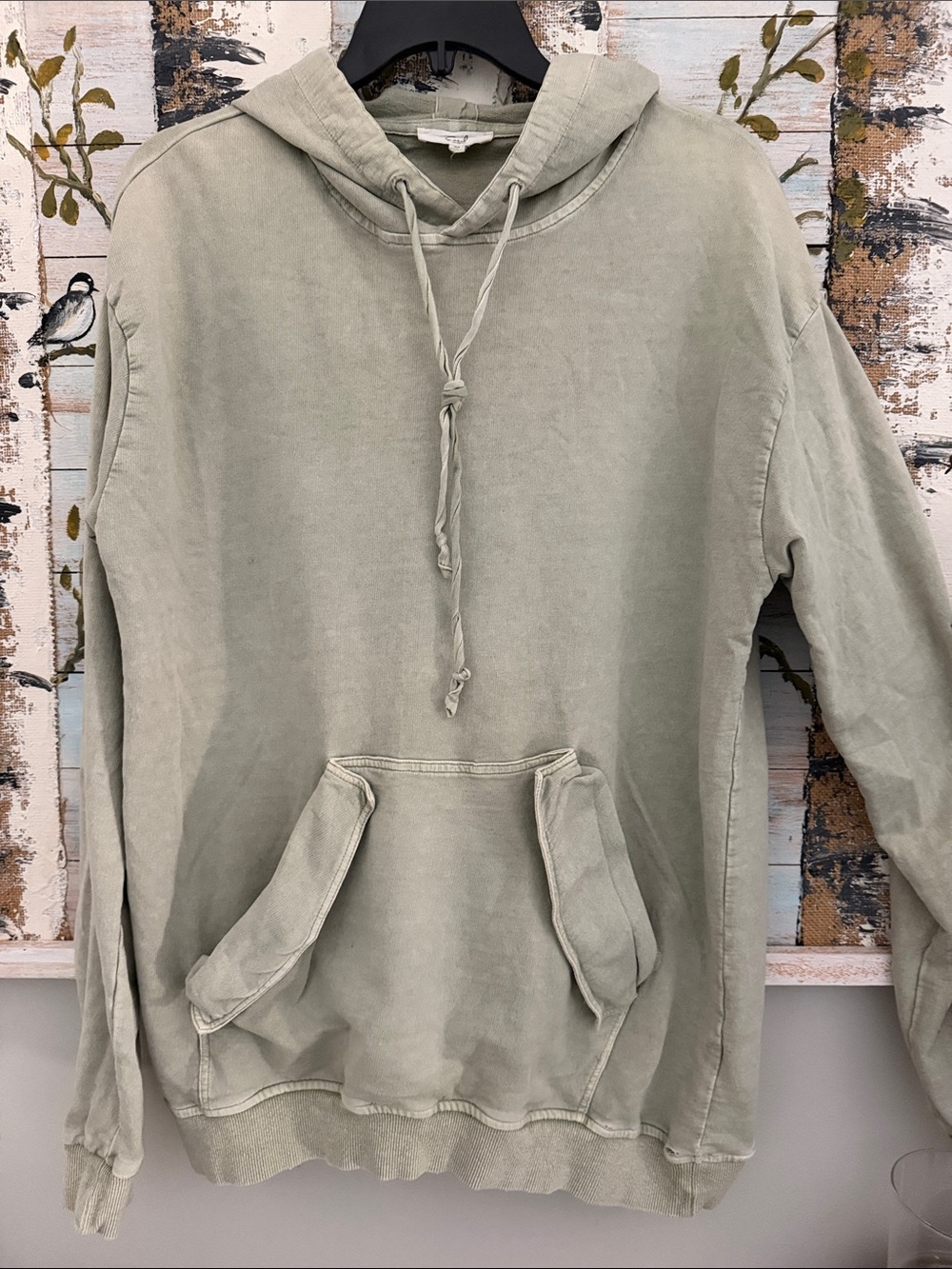 easel Light Sage Green Hoodie